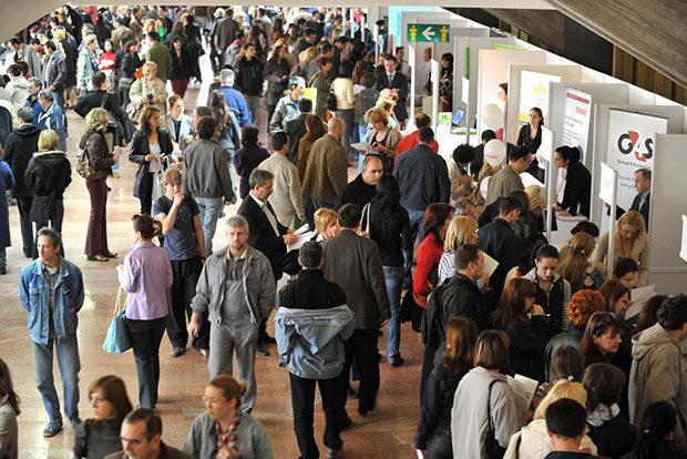 НОВИ САД: Странци упослили 6.500 људи